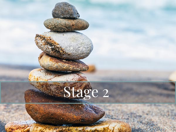 Homeopathy Online Course UK - Stage 2 Product img